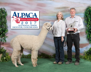 Man in the Moon's Peruvian Ganymede