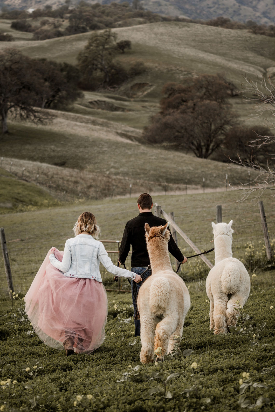 An Engagement Photo Shoot
