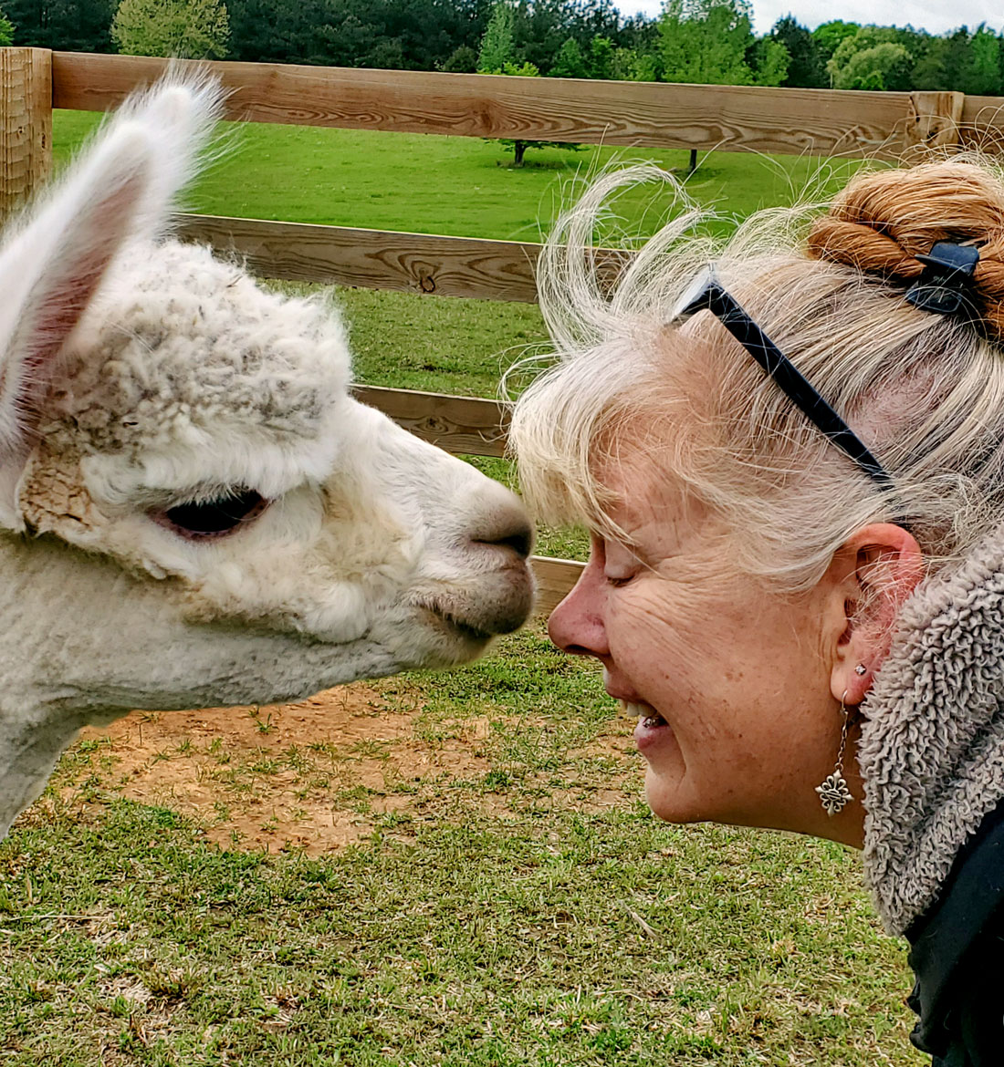 Mesa Trail Alpacas
