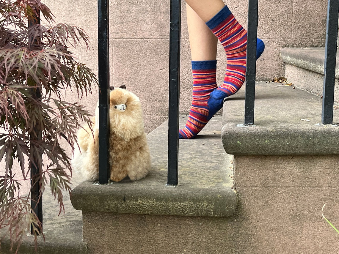 us made alpaca socks