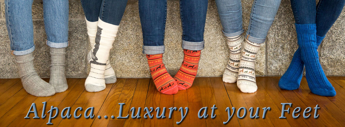 Alpaca socks for everyone