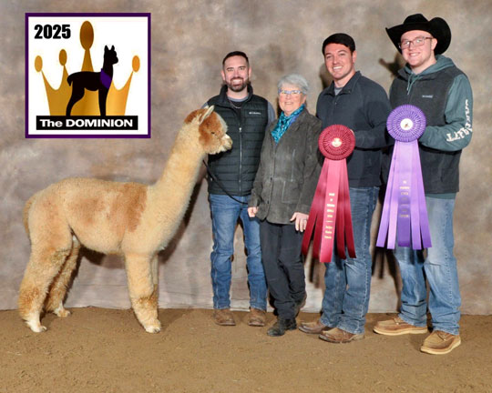 Pine Valley's American Patriot