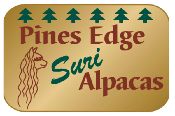 Pines Edge Suri Alpacas