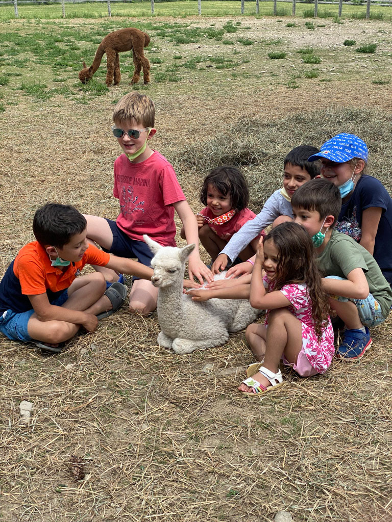 Visitors at the farm