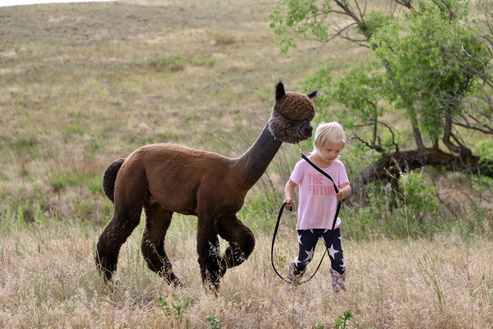 The youth is the hope of our future