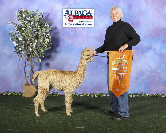 Raynay's Shining Star by Tempo