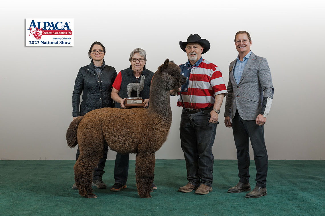 Award winning alpacas!