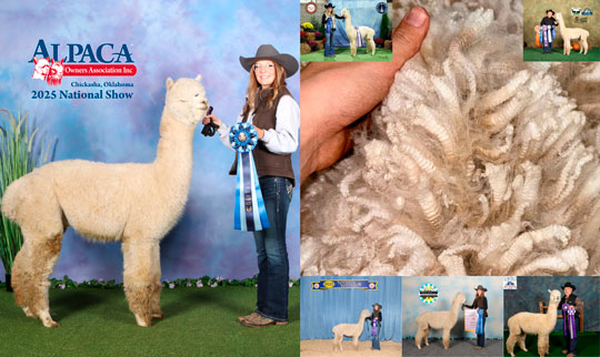 RGR COLO LSERE BY VAL D LSERE