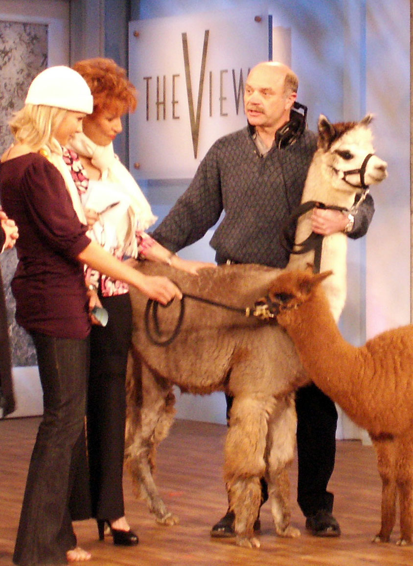 Rob showing alpacas on The View