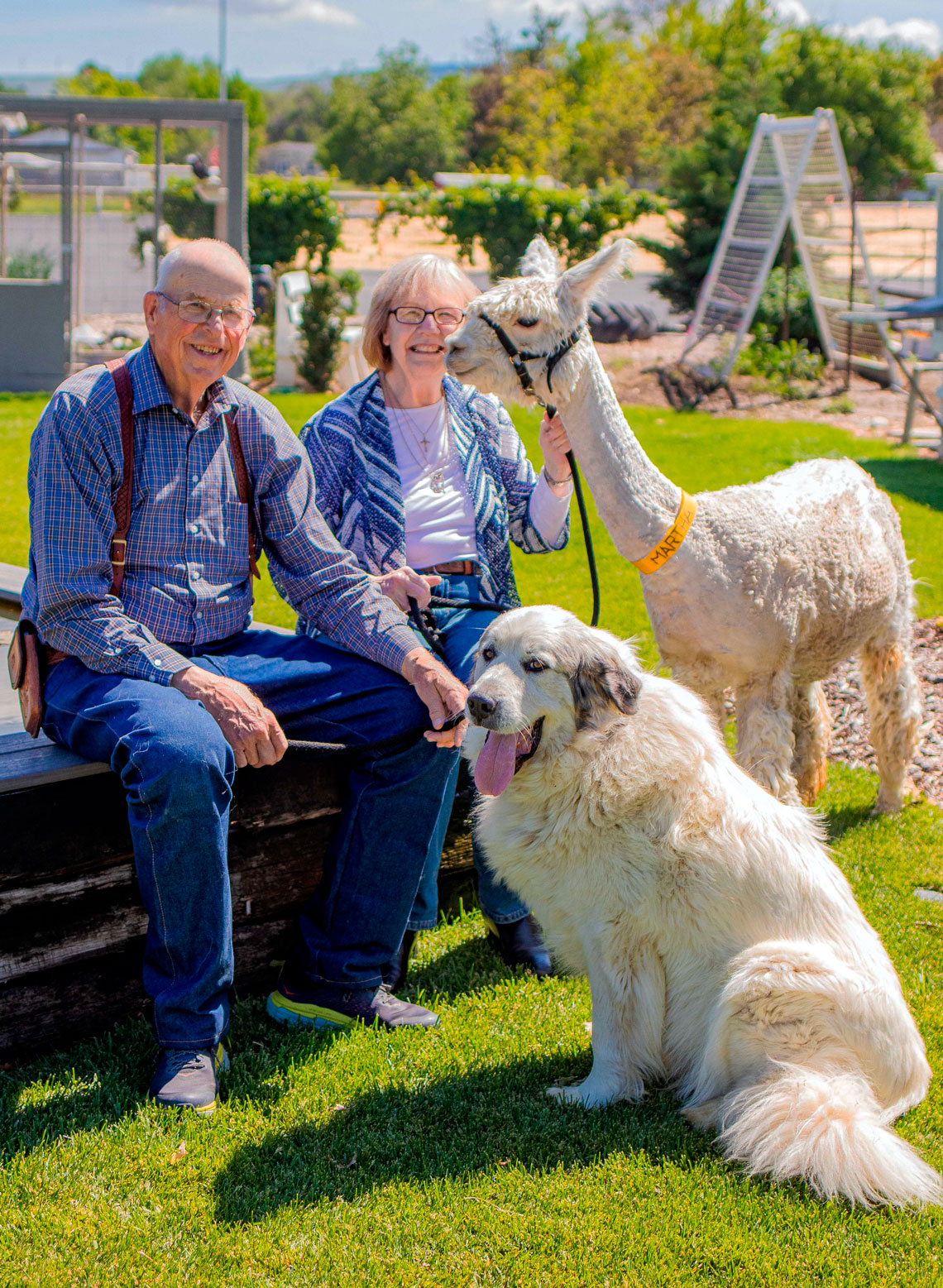 Sandollar Farms!  A Fun Place to Visit!