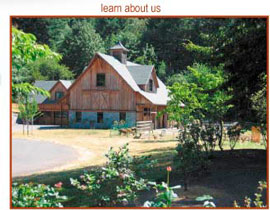 Skyline Alpacas Logo