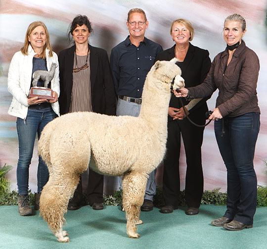 SNOWMASS CRYSTAL FREEDOM