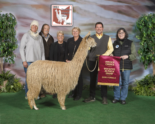 Sonata's Minuet by Sun Shine