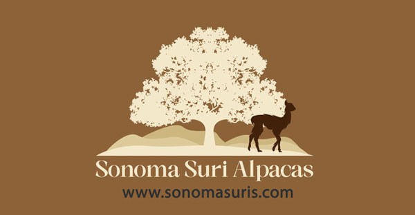 Sonoma Suri Alpacas