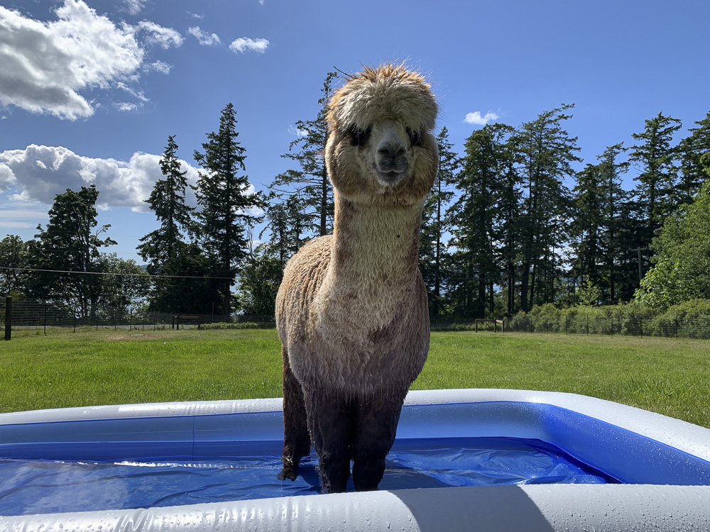 Okay…I’m in! Now what?!