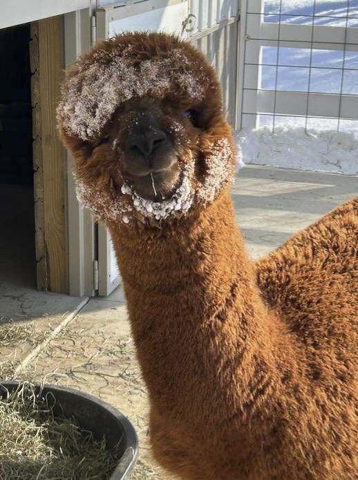 Do I have something on my face?