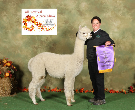 STILLMEADOW FARM MARIAM