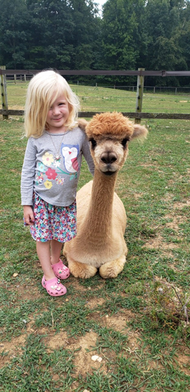Sugar Hollow Farm Alpacas, LLC Logo