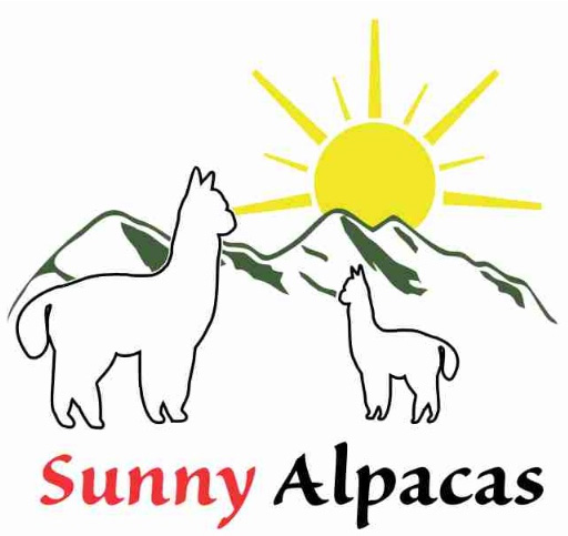 Sunny Alpacas