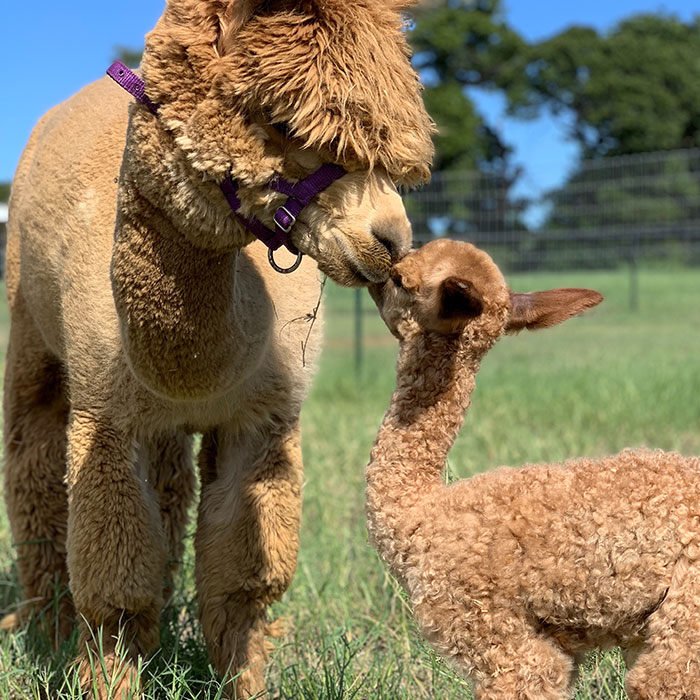 photo courtesy of Tammie Lightfoot