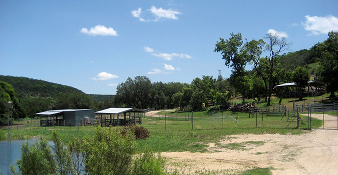Tierra Prometida Alpacas