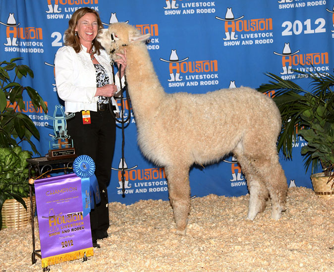 Tierra Prometida Alpacas