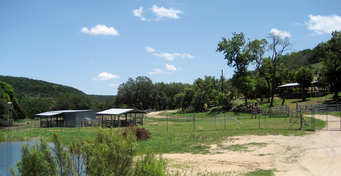 Springtime sunrise at Tierra Prometida Alpacas