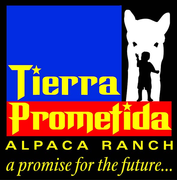 Tierra Prometida Alpacas
