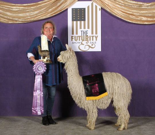 Tikanui's Handsome Jack