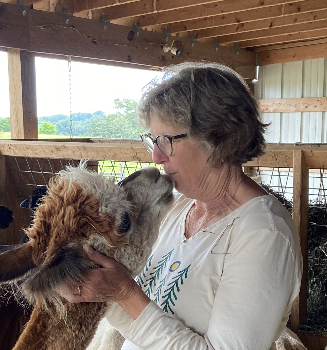 Two Roots Alpaca Farm Experience