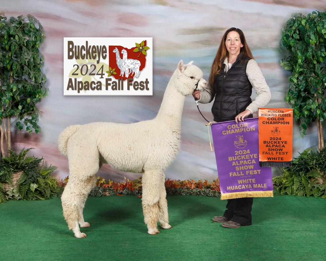 Walnut Ridge Acres Alpaca Farm