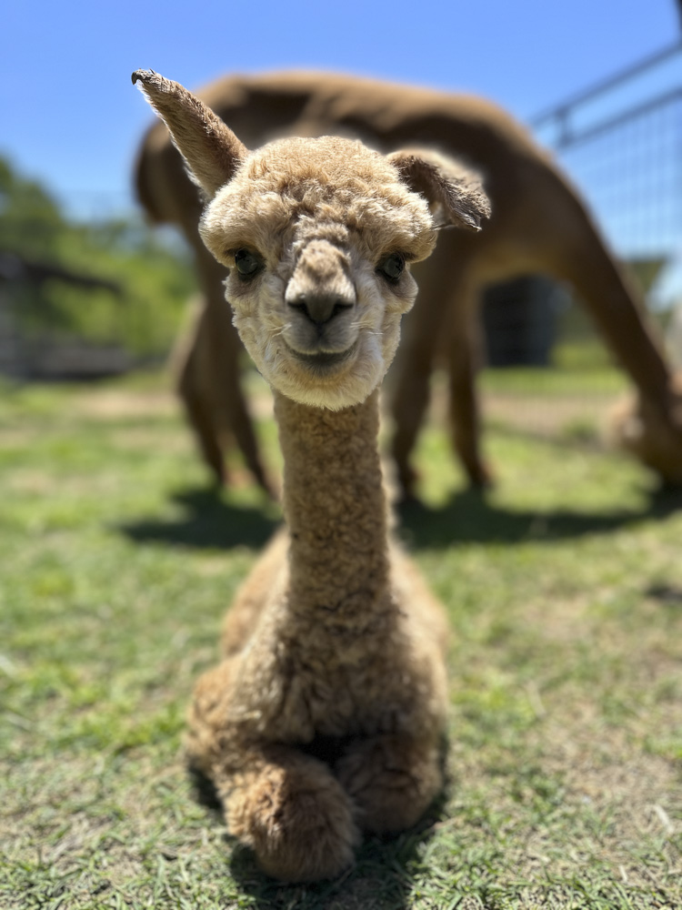 be real, not perfect