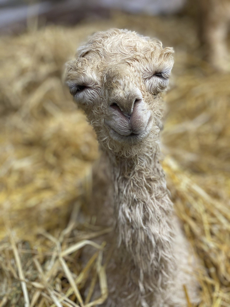 Life is good…day one!