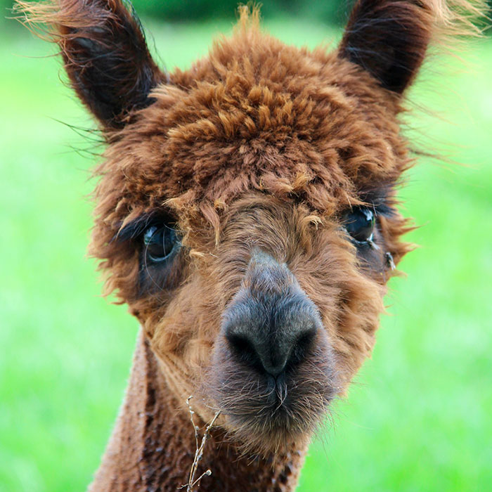 photo courtesy of Wendy Beatty