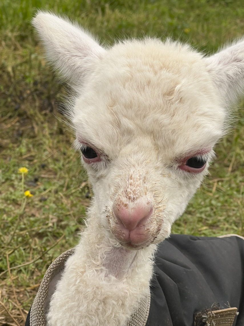 Welcome to the World!