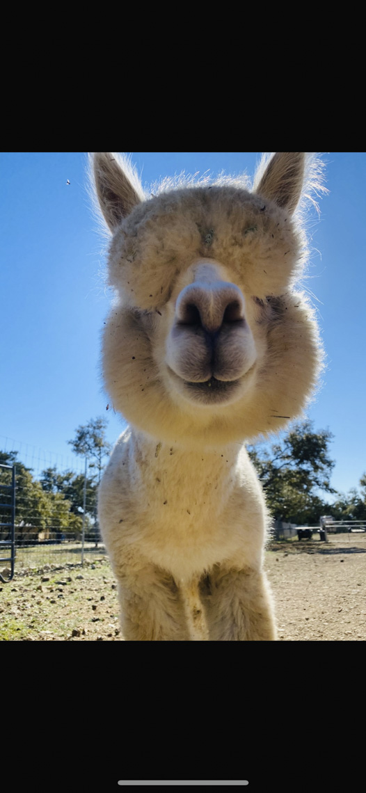 Who are you calling chunky cheeks?