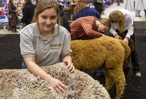 youth participating in the judging class at the National Show