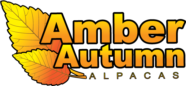 Amber Autumn Alpacas