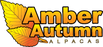 Amber Autumn Alpacas