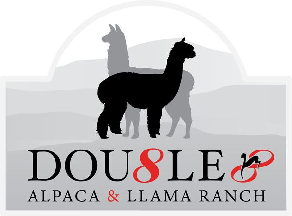 Double 8 Alpaca and Llama Ranch