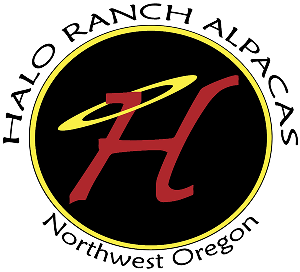 Halo Ranch Alpacas