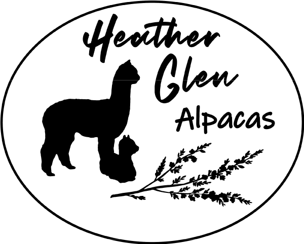 Heather Glen Alpacas