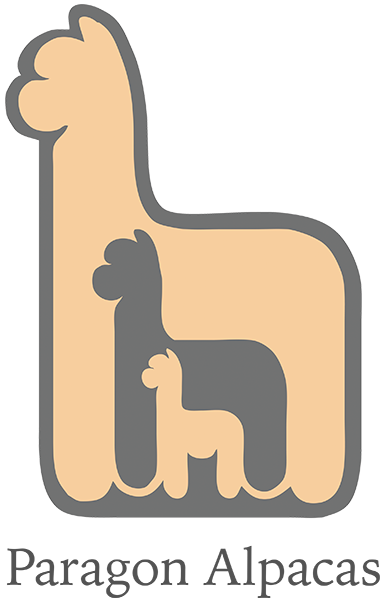 Paragon Alpacas