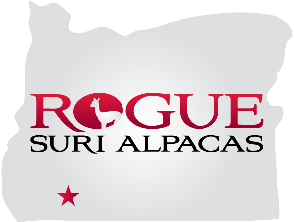 Rogue Suri Alpacas