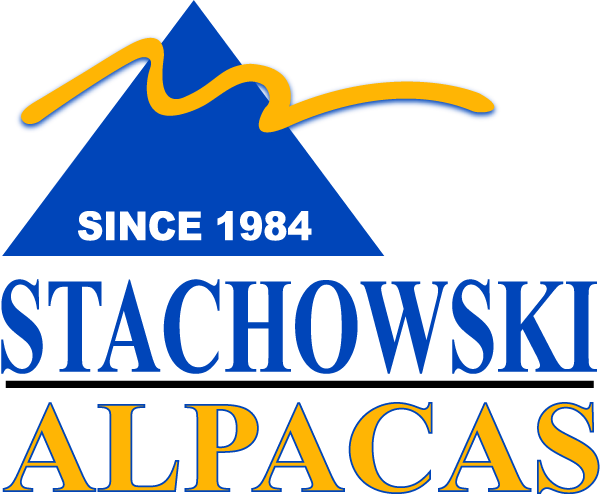 Stachowski Alpacas LLC