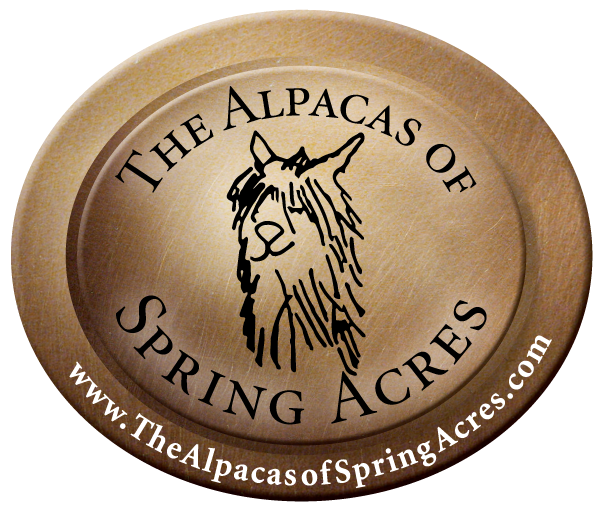 The Alpacas of Spring Acres