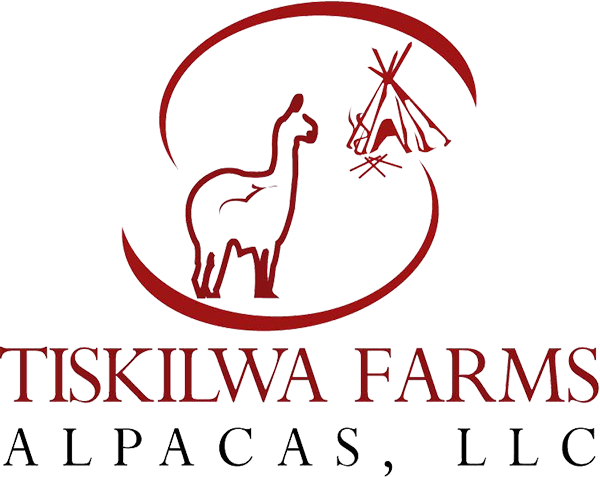 Tiskilwa Farms Alpacas