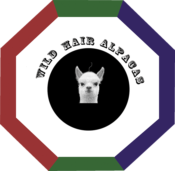 Wild Hair Alpacas LLC Logo